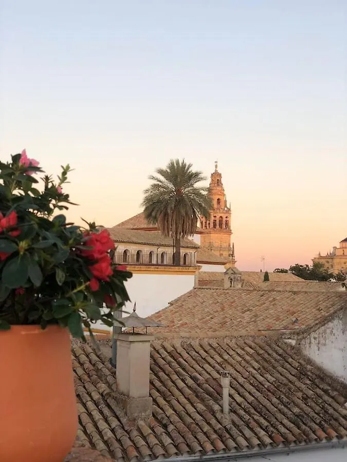 Duplex El Espejo De La Mezquita Apartment Cordoba
