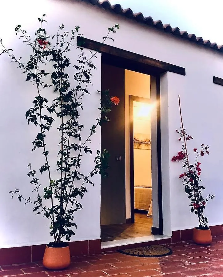 Duplex El Espejo De La Mezquita Apartment Cordoba